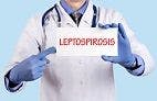 Key Features of Leptospirosis in Humans