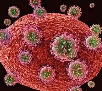 Investigators Successfully Eliminate HIV in Mouse Model