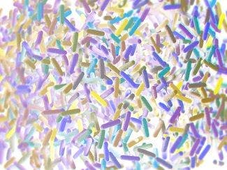 Low Microbiota Diversity Prior to Bone Marrow Transplant Linked to Higher Risk for Complications