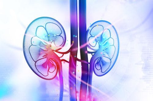 First Large-Scale Trial of Kidney Transplant Between HIV+ Donor and Recipient