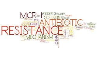 New Study Detects Increase in MCR-1 Positive Multidrug-Resistant Bacteria in Humans