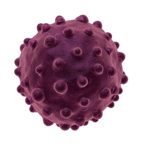 Hepatitis A Outbreaks Flare Up At Home and Abroad