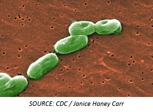Multistate Outbreak of Burkholderia cepacia Linked with Cleansing Foam Used in Hospitals