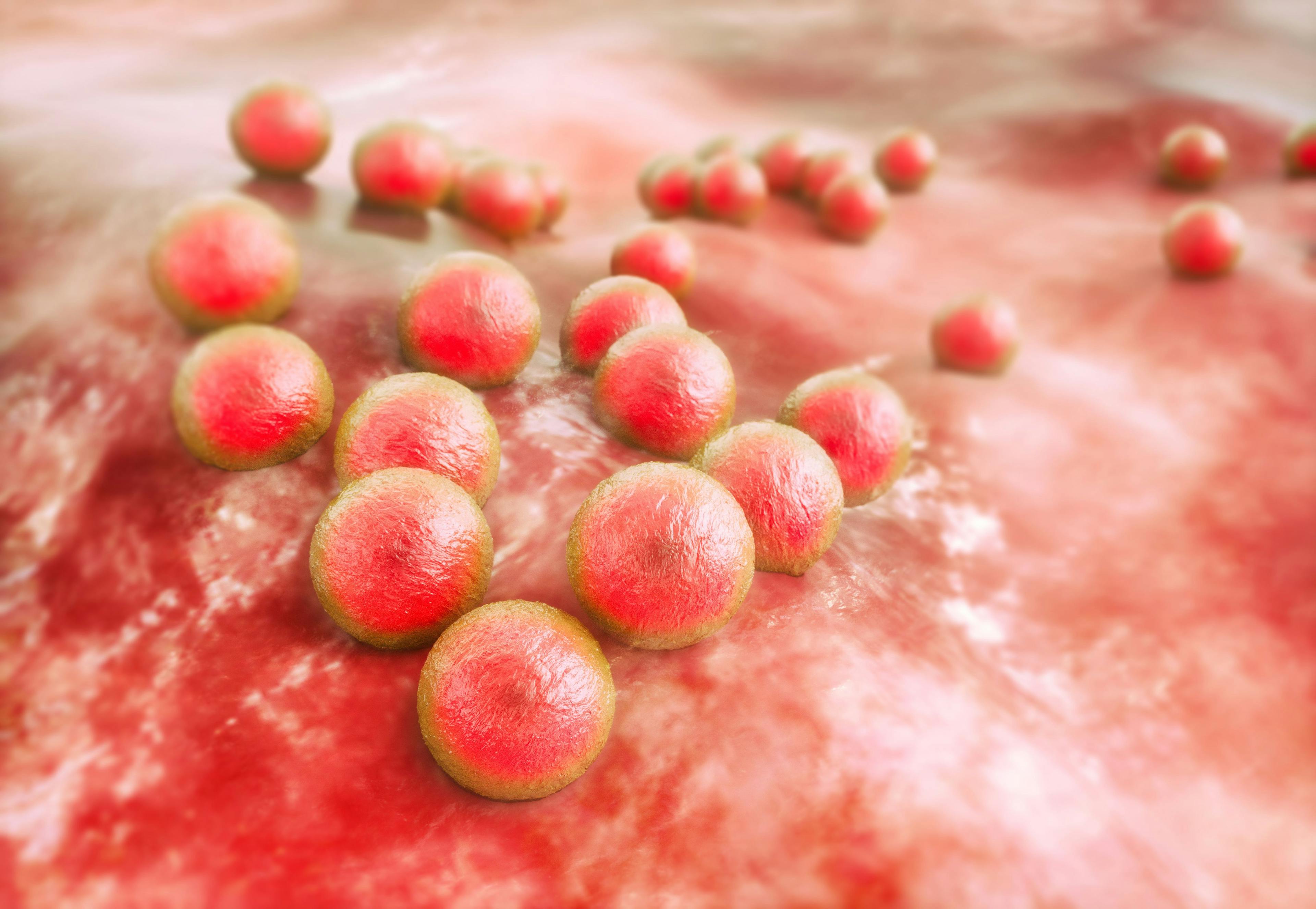 The Underlying Threat of Multidrug-Resistant Pathogens in the COVID-19 Era