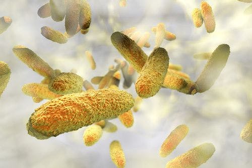 Deadly New Superbug Claims Five Lives in China