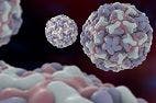 Scientists Make Progress on Development of Common Cold Vaccine