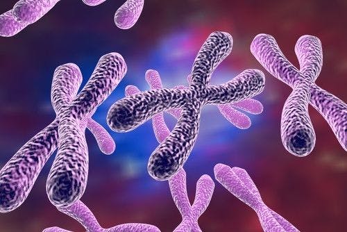 Telomeres Are Shorter in Adults Who Had More Diarrheal Infections as Infants