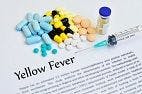 WHO Director-General Warns Not to Ignore Threat of Yellow Fever 