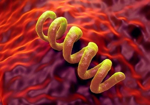 Congenital Syphilis Cases in United States Reach 20-Year High