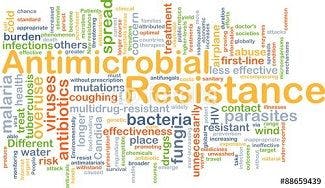 Bringing 2 to 4 Antibiotics for AMR to Market by 2030