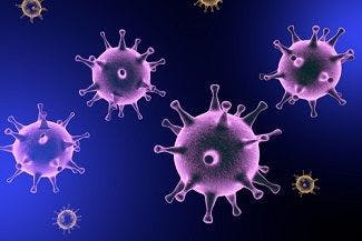 Top Viral Infectious Disease News of 2017