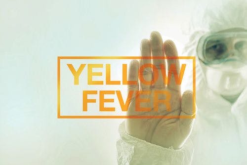 Yellow Fever: A Transcontinental Threat?