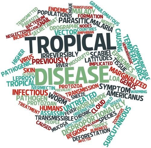 Exploring the FDA's Tropical Disease Priority Review Voucher