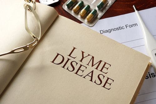 CDC Provides Updates on Lyme Disease Diagnostics