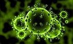 Is a New SARS-like Virus on the Horizon?