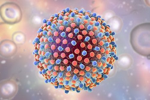 Study Elucidates a Mechanism for HCV Evasion of Immune Response