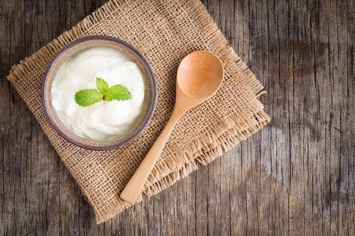 Lactobacillus Isolate Found in Yogurt & Cheese Proves to Have Powerful Antimicrobial Activity