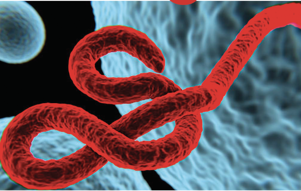 ebola in Uganda