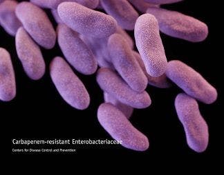 Patients with Carbapenem-Resistant Bloodstream Infections Less Likely to Survive Hospitalization
