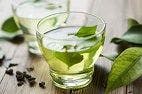 Study Reveals How Green Tea Could Protect Against Zika Virus