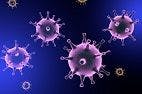 Herpes Strain Found in Nervous System: Surprising Discovery
