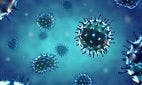 Researchers Discover New Virus Called Influenza D