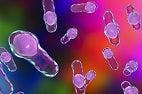 Doctors Discover New Treatment for “Superbug” C. difficile