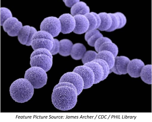 New Finding May Help Prevent Flesh-eating Group A Streptococcus Infections