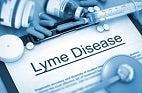New Drugs Could Help Combat Chronic Lyme Disease