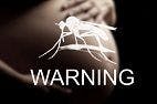 CDC Updates Adverse Effects of Zika Virus Infection on Pregnant Women and Fetuses