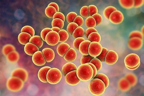 Patients Recently Treated with Azithromycin Show Increased Resistance to Treatment for Neisseria gonorrhoeae