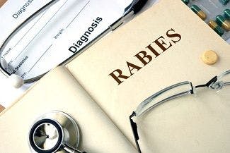 New Rabies Test Developed by CDC Provides Faster, More Accurate Results