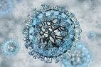 Researchers Test Novel Nanoparticle Flu Treatment