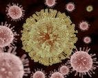 Studying T-Cell Response May Help the Fight Against Zika Virus