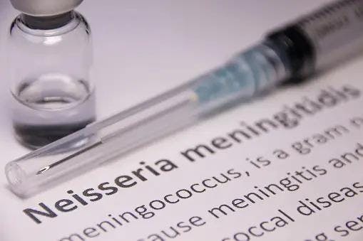 Neisseria meningitidis | Image Credits: Unsplash