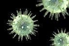 New Genetic Research Shows How Epstein-Barr Virus Leads to Cancer