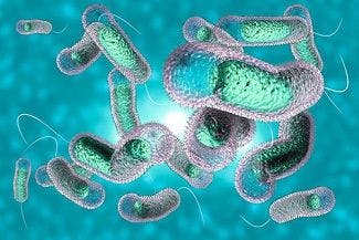 Global Incidence of Cholera Is Declining