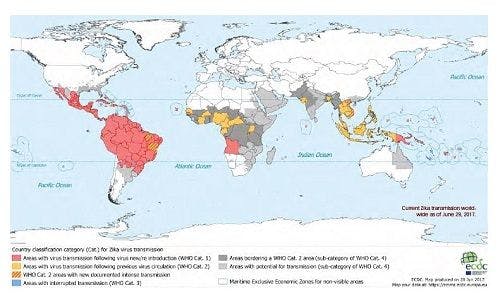 Current Zika Transmission Worldwide as of June 29, 2017