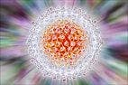 Hepatitis C: Is a Vaccine in the Near Future?