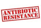 The World Faces Hurdles in the Fight Against Antibiotic Resistance