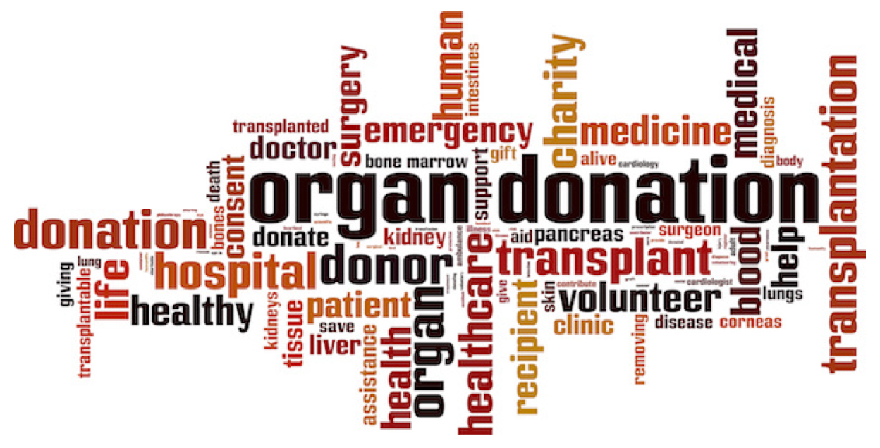 Expanding the Use of HCV-Positive Organs in Solid Organ Transplantation