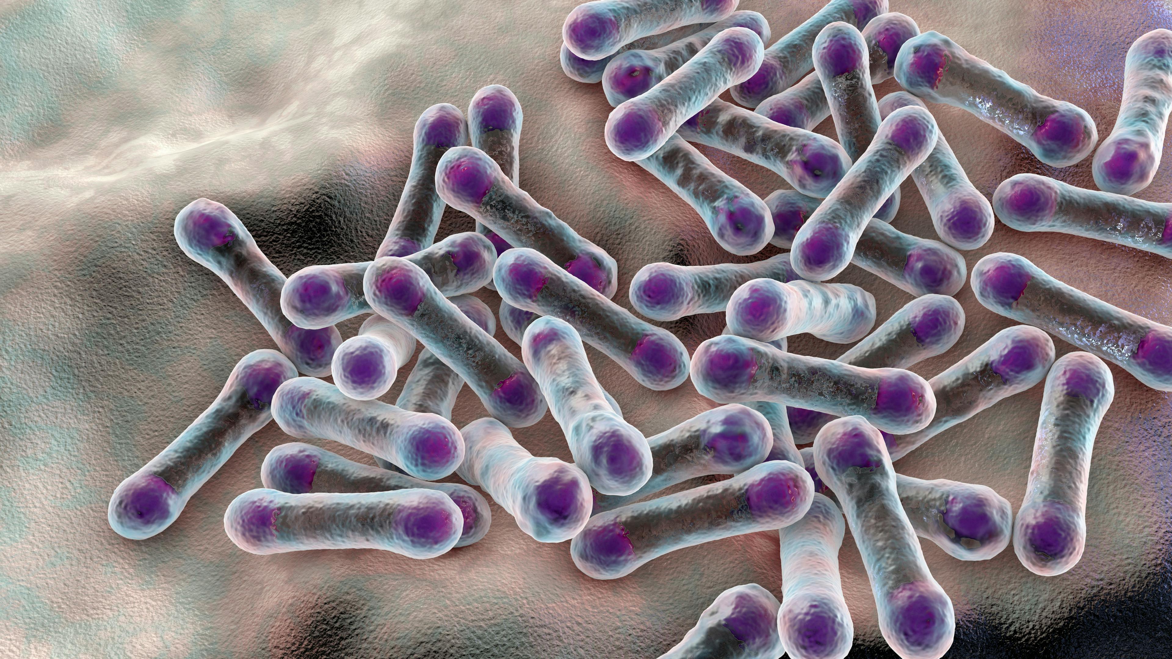 The findings of this study could pave the way for new, disease-targeted probiotics.