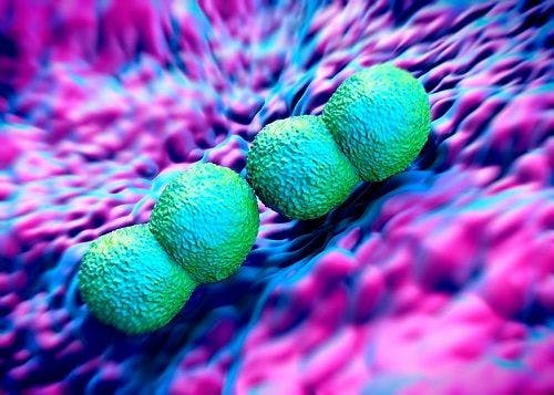 Gonorrhea Guideline Update in UK Guards Against Antibiotic Resistance