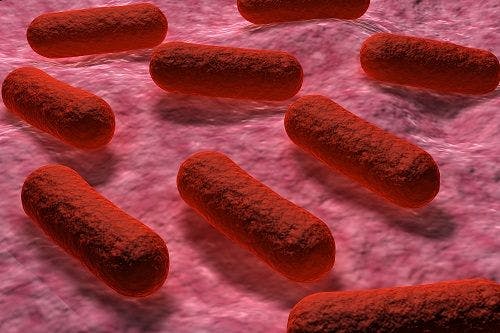 Investigators Scrambling to Find Source of Utah-Arizona E. coli Outbreak