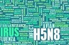 H5N8 Avian Influenza Hits Northern Europe