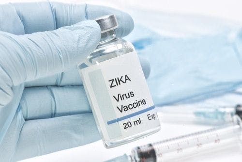 Zika Vaccine May Not Be Too Far Off, But at What Cost?