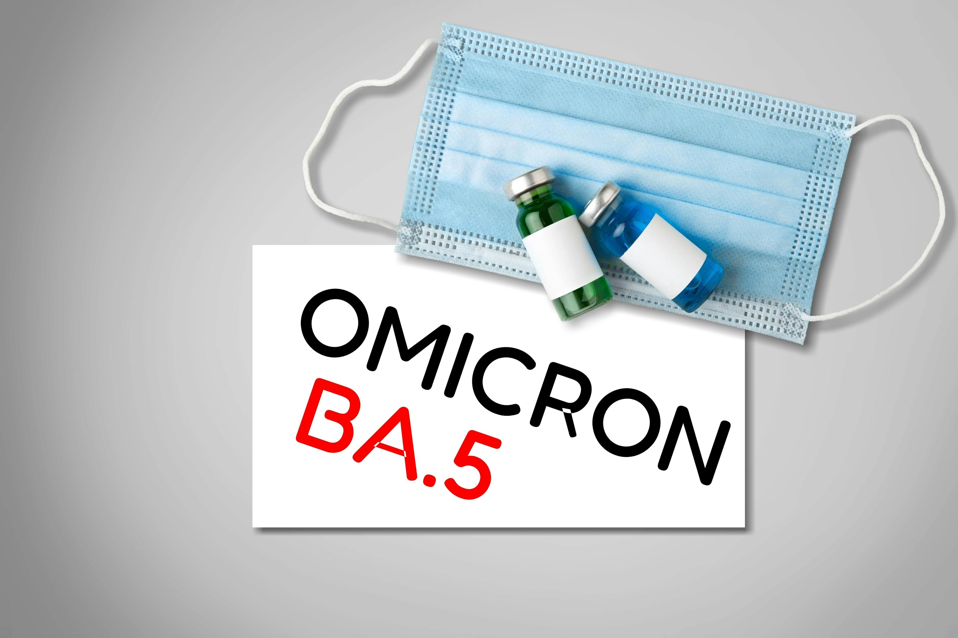 Efficacy of Prior Omicron Infection and Booster Vaccination Against BA.5 Subvariant 