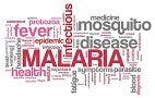 Malaria Eradication Efforts Receive a Boost from the Bill & Melinda Gates Foundation