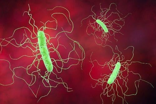 C difficile Awareness Month: Breakthroughs and Setbacks 