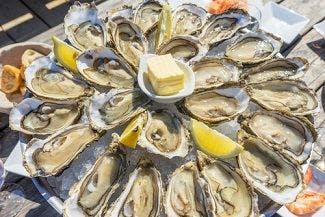 Gastrointestinal Illness Outbreak Tied to Raw Oysters